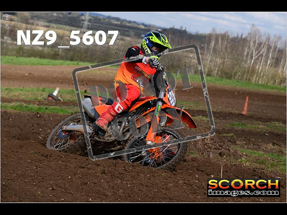 Experts-115