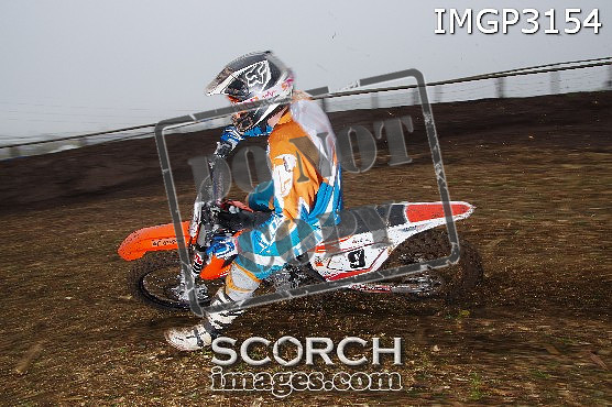 IMGP3154