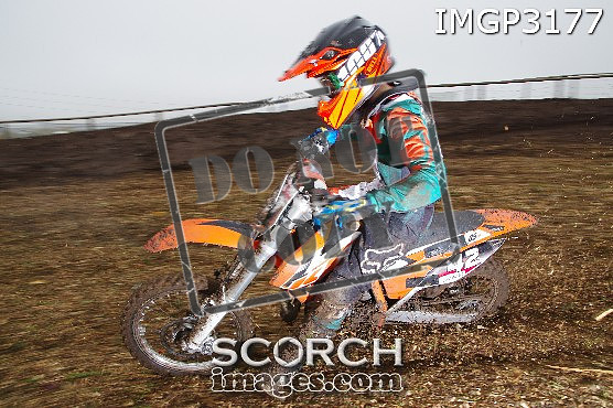 IMGP3177