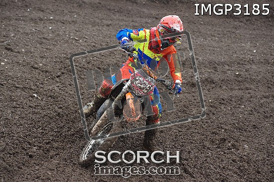 IMGP3185