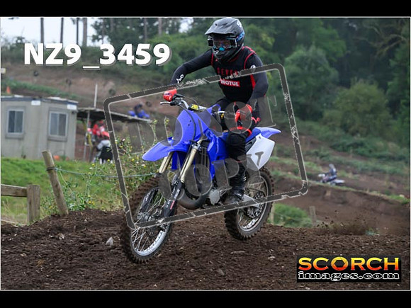 Experts-116