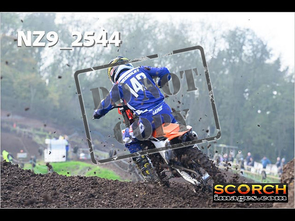 Experts-130