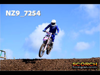 Experts-015