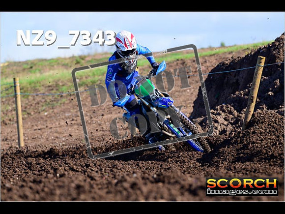 Experts-099