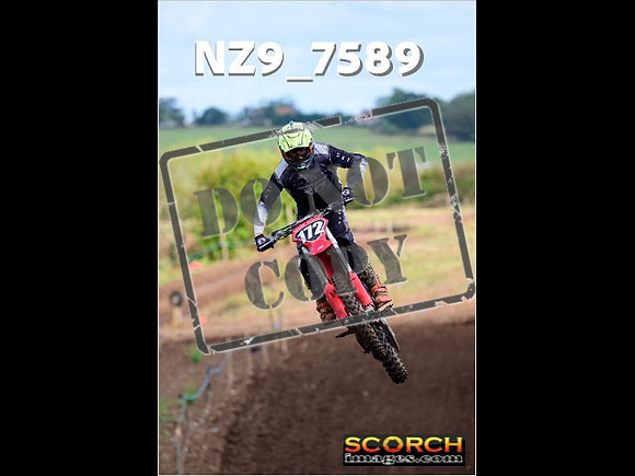 Experts-119
