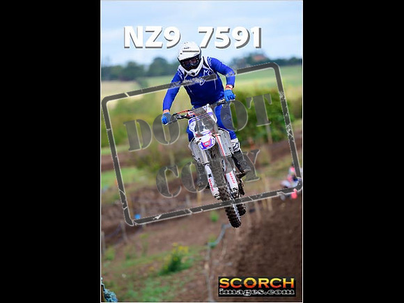 Experts-121