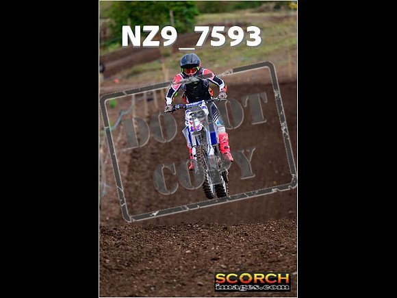 Experts-123