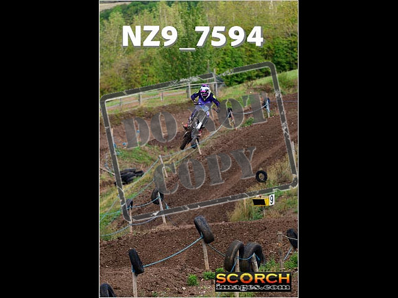 Experts-124