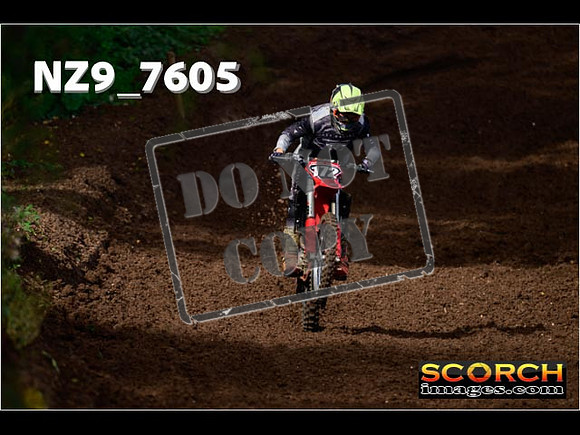 Experts-135