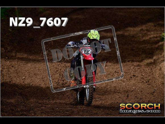 Experts-137