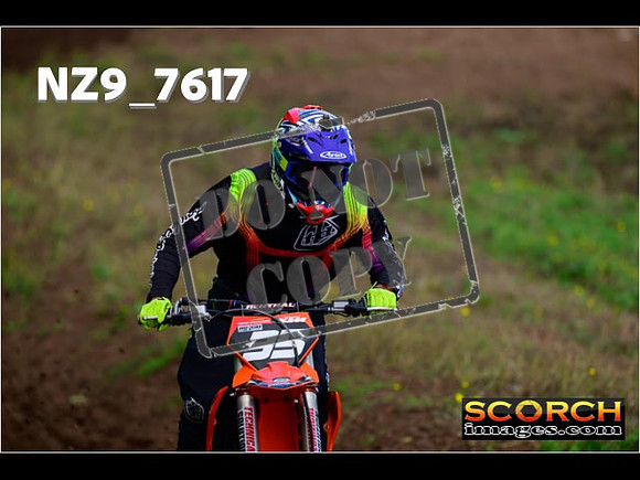 Experts-146