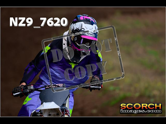Experts-149