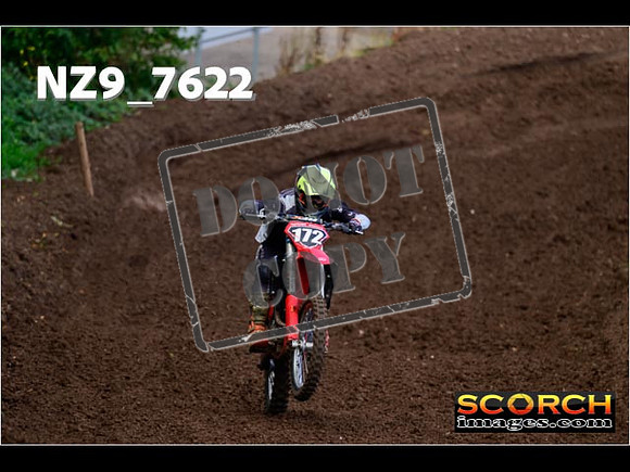 Experts-151