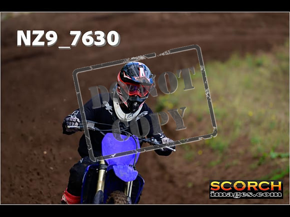 Experts-158