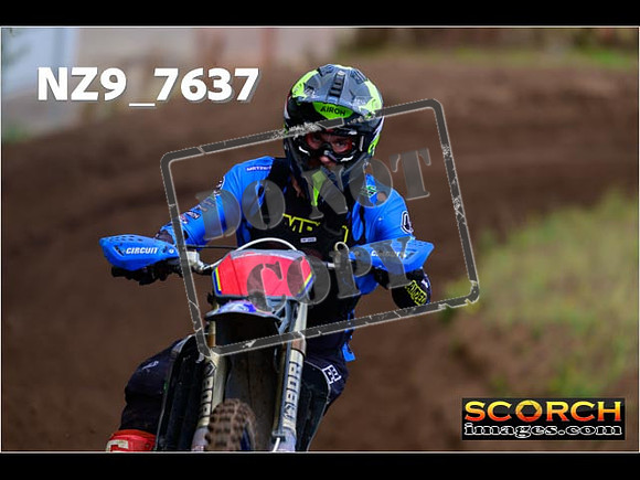 Experts-165