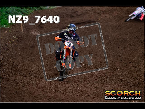 Experts-167