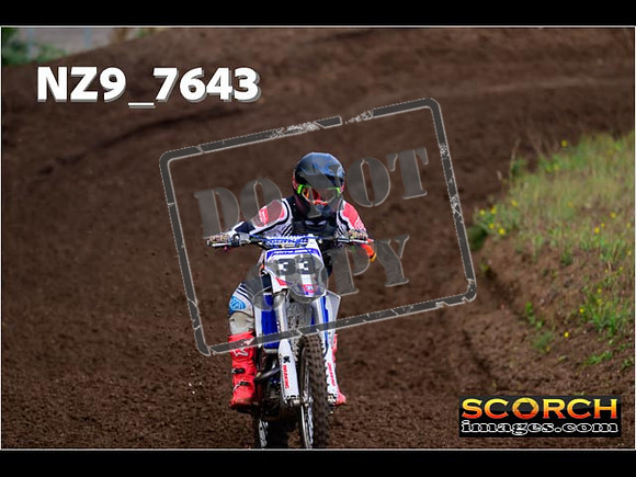Experts-169