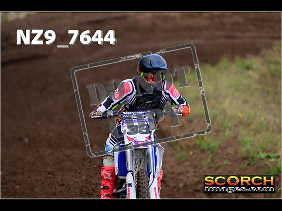 Experts-170