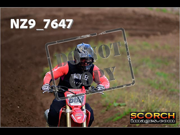Experts-173