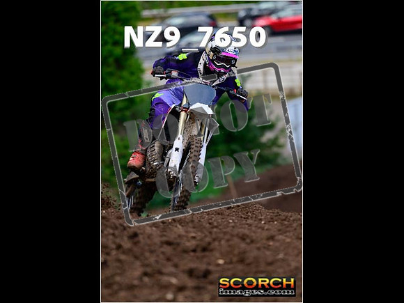 Experts-175