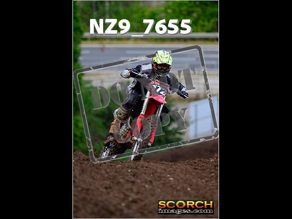 Experts-179