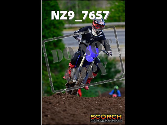 Experts-181
