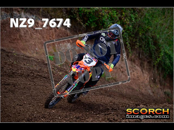 Experts-194