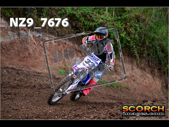 Experts-196