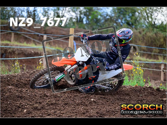 Experts-197