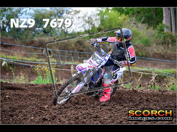 Experts-199