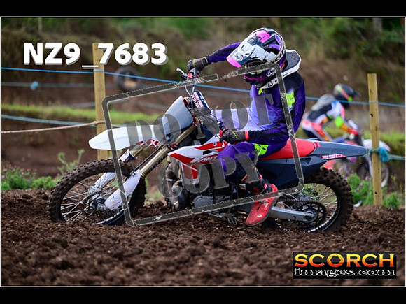 Experts-203