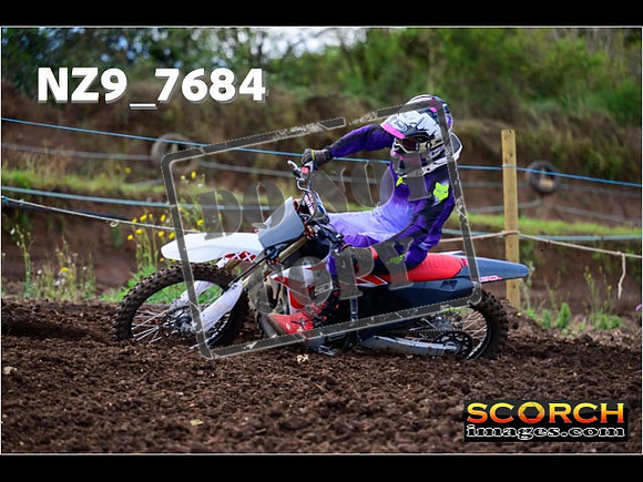 Experts-204