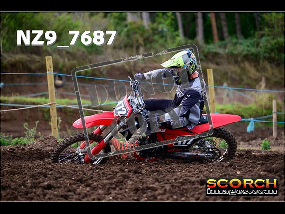 Experts-207