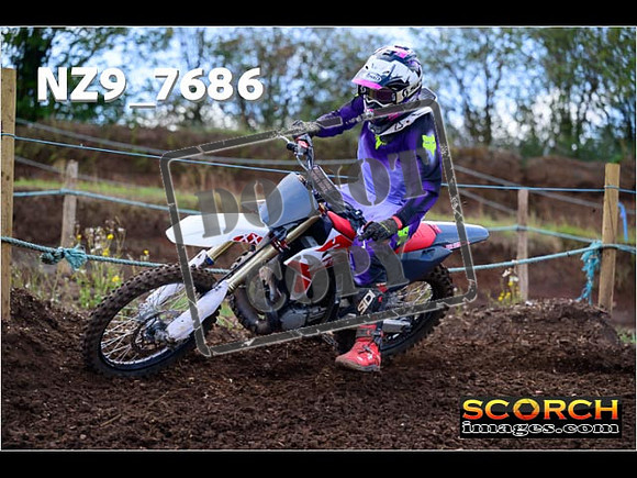 Experts-206