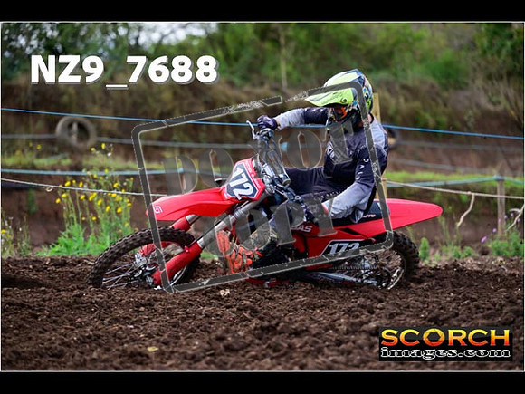 Experts-208