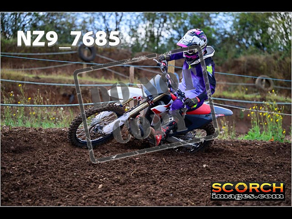 Experts-205
