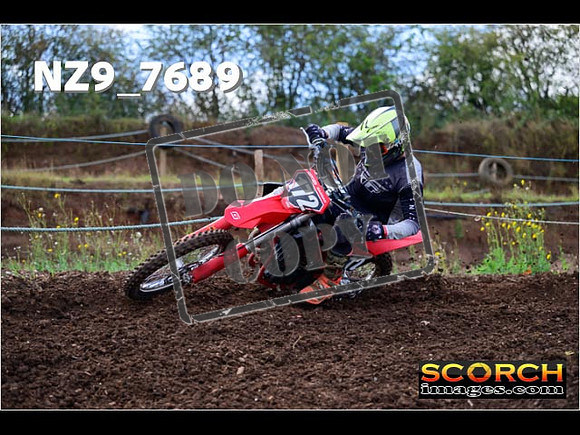 Experts-209