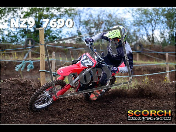 Experts-210