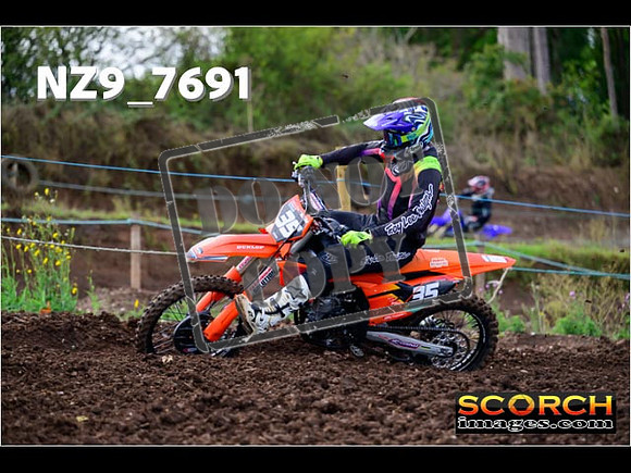 Experts-211