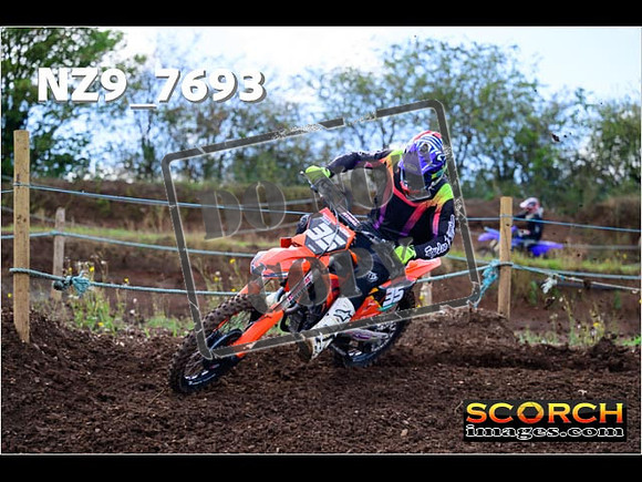 Experts-213