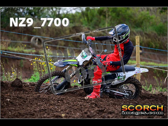 Experts-219