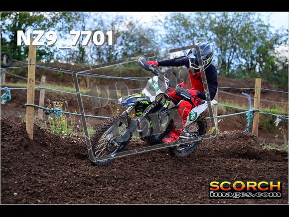 Experts-220