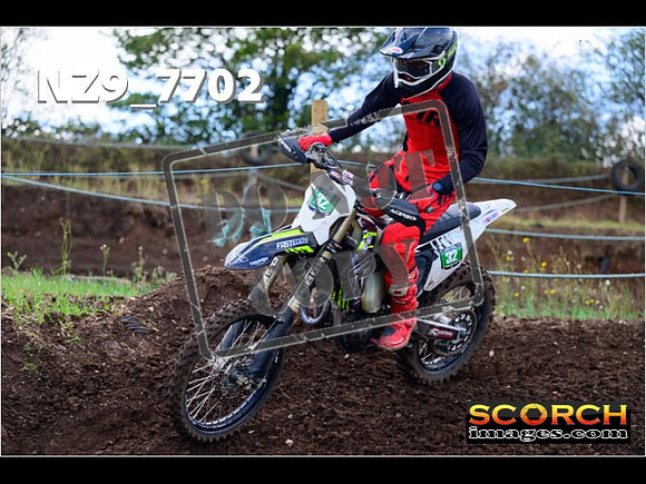 Experts-221