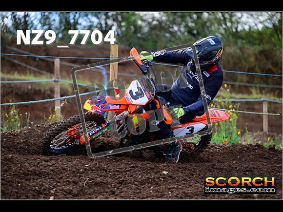 Experts-223