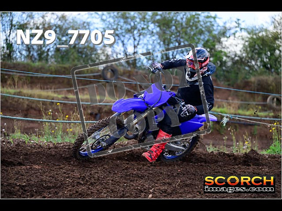 Experts-224