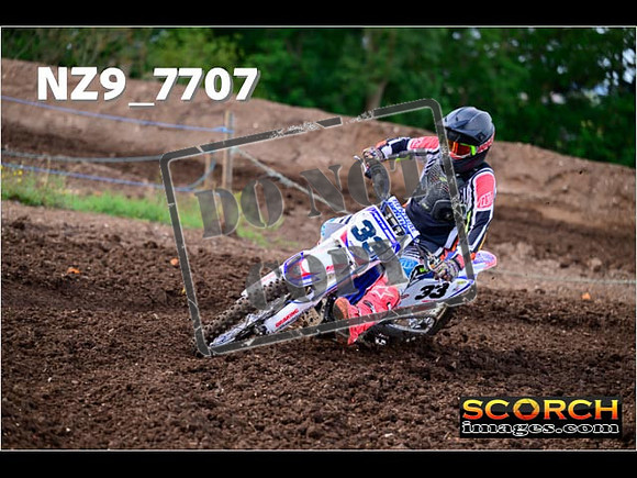 Experts-226