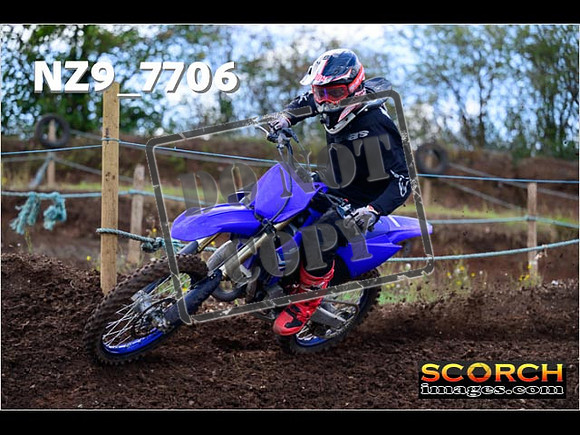 Experts-225