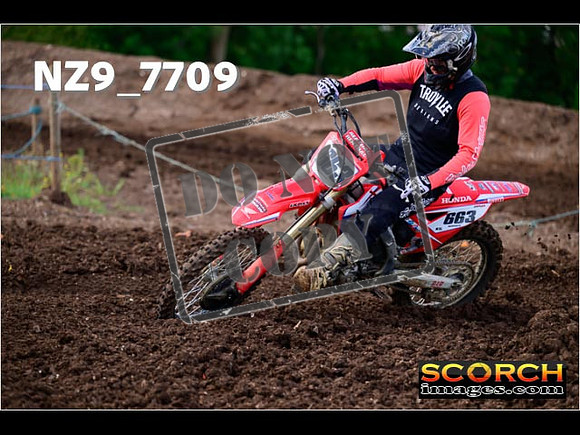 Experts-228