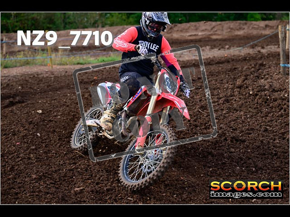 Experts-229