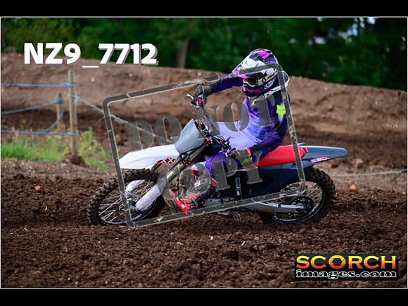 Experts-231